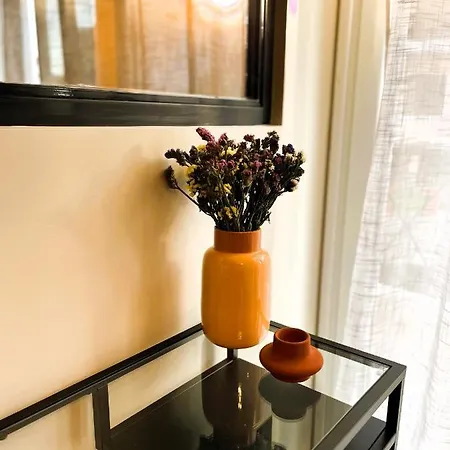 Meteorito アパート *